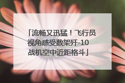 流畅又迅猛！飞行员视角感受数架歼-10战机空中近距格斗