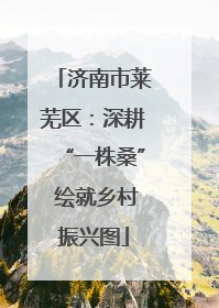 济南市莱芜区：深耕“一株桑” 绘就乡村振兴图