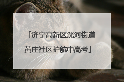 济宁高新区洸河街道黄庄社区护航中高考