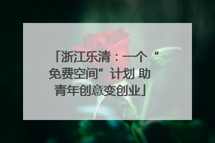 浙江乐清：一个“免费空间”计划 助青年创意变创业