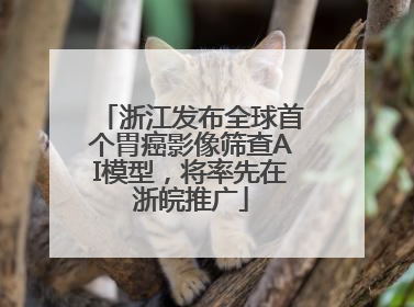 浙江发布全球首个胃癌影像筛查AI模型，将率先在浙皖推广