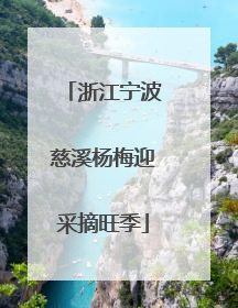 浙江宁波慈溪杨梅迎采摘旺季