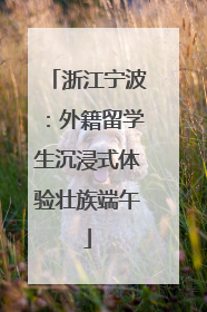 浙江宁波：外籍留学生沉浸式体验壮族端午