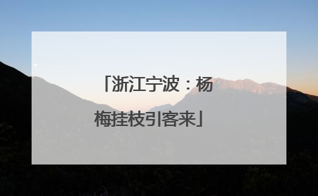 浙江宁波：杨梅挂枝引客来