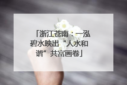 浙江苍南：一泓碧水映出“人水和谐”共富画卷