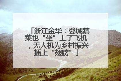 浙江金华：婺城蔬菜也“坐”上了飞机，无人机为乡村振兴插上“翅膀”