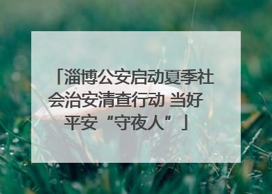 淄博公安启动夏季社会治安清查行动 当好平安“守夜人”