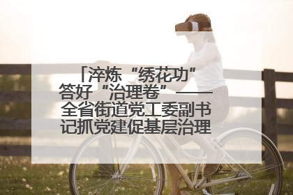 淬炼“绣花功” 答好“治理卷”——全省街道党工委副书记抓党建促基层治理培训示范班侧记