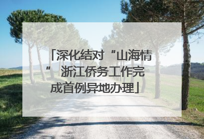 深化结对“山海情” 浙江侨务工作完成首例异地办理