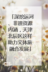 深挖运河、非遗资源内涵，天津北辰区这样助力文体旅融合发展