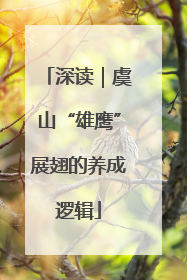 深读｜虞山“雄鹰”展翅的养成逻辑