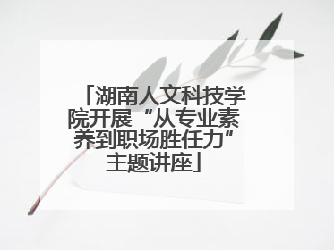 湖南人文科技学院开展“从专业素养到职场胜任力”主题讲座