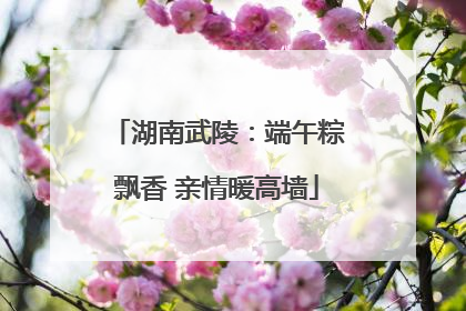 湖南武陵：端午粽飘香 亲情暖高墙