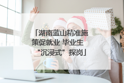 湖南蓝山精准施策促就业 毕业生“沉浸式”探岗