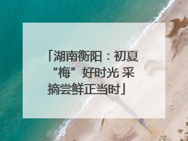 湖南衡阳：初夏“梅”好时光 采摘尝鲜正当时