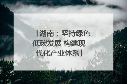 湖南：坚持绿色低碳发展 构建现代化产业体系