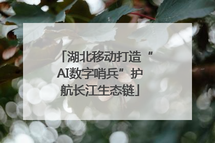 湖北移动打造“AI数字哨兵”护航长江生态链