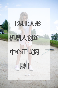 湖北人形机器人创新中心正式揭牌