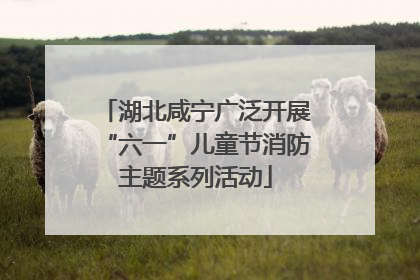 湖北咸宁广泛开展“六一”儿童节消防主题系列活动