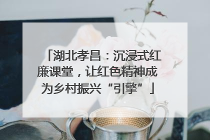 湖北孝昌：沉浸式红廉课堂，让红色精神成为乡村振兴“引擎”