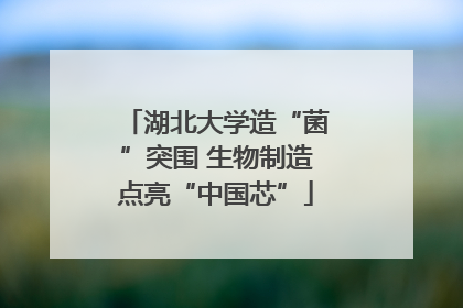 湖北大学造“菌”突围 生物制造点亮“中国芯”