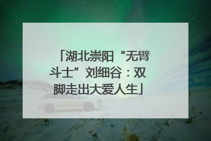 湖北崇阳“无臂斗士”刘细谷：双脚走出大爱人生