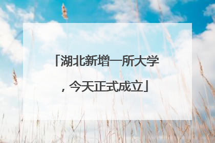 湖北新增一所大学，今天正式成立