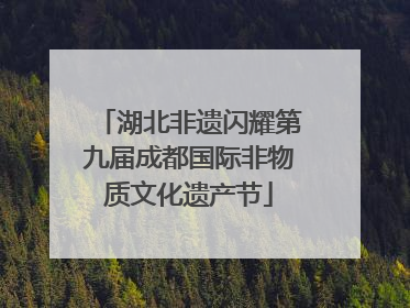 湖北非遗闪耀第九届成都国际非物质文化遗产节