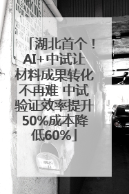 湖北首个！AI+中试让材料成果转化不再难 中试验证效率提升50%成本降低60%