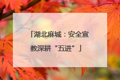 湖北麻城：安全宣教深耕“五进”