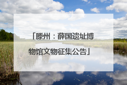 滕州：薛国遗址博物馆文物征集公告