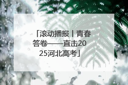 滚动播报丨青春答卷——直击2025河北高考