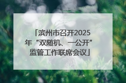 滨州市召开2025年“双随机、一公开” 监管工作联席会议