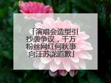 演唱会造型引抄袭争议，千万粉丝网红何秋亊向汪苏泷道歉