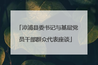 漳浦县委书记与基层党员干部群众代表座谈