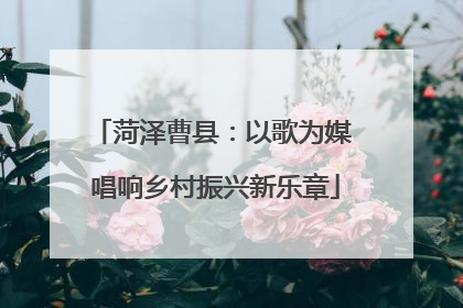 菏泽曹县：以歌为媒 唱响乡村振兴新乐章