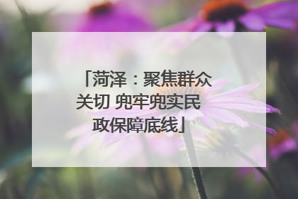 菏泽：聚焦群众关切 兜牢兜实民政保障底线