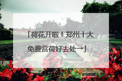 荷花开啦！郑州十大免费赏荷好去处→