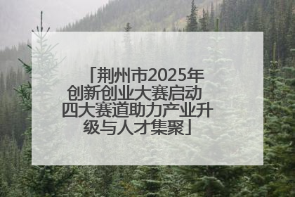 荆州市2025年创新创业大赛启动 四大赛道助力产业升级与人才集聚