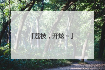 荔枝，开炫～