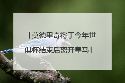 莫德里奇将于今年世俱杯结束后离开皇马