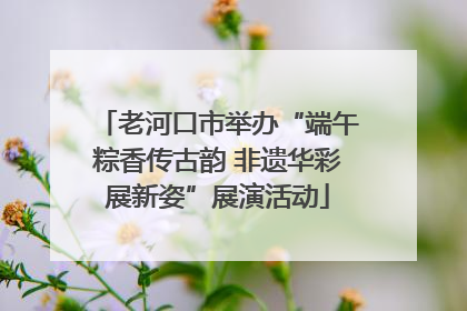 老河口市举办“端午粽香传古韵 非遗华彩展新姿”展演活动