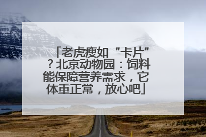 老虎瘦如“卡片”？北京动物园：饲料能保障营养需求，它体重正常，放心吧