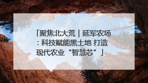 聚焦北大荒｜延军农场：科技赋能黑土地 打造现代农业“智慧芯”