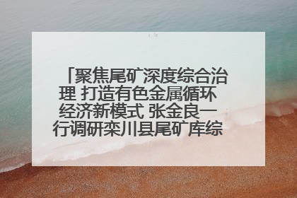 聚焦尾矿深度综合治理 打造有色金属循环经济新模式 张金良一行调研栾川县尾矿库综合治理工作