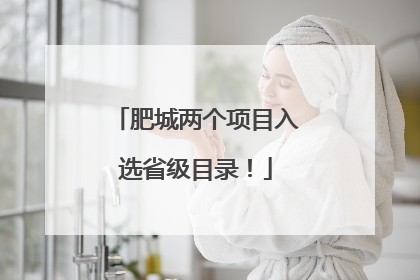 肥城两个项目入选省级目录！