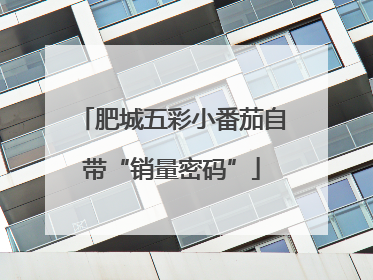 肥城五彩小番茄自带“销量密码”
