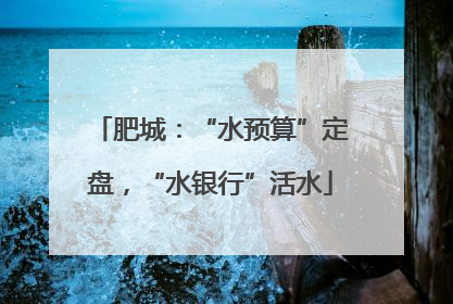 肥城：“水预算”定盘，“水银行”活水