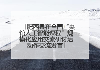 肥西县在全国“央馆人工智能课程”规模化应用交流研讨活动作交流发言