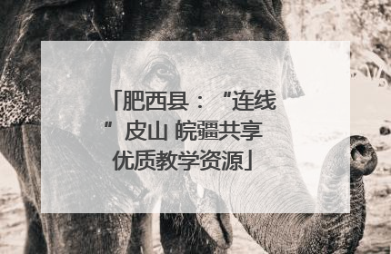 肥西县：“连线”皮山 皖疆共享优质教学资源